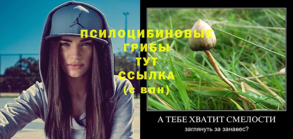 МДПВ Верхний Тагил